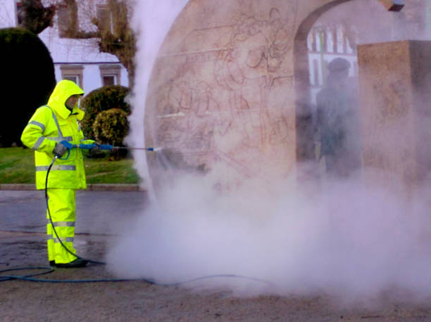 Best Local Pressure Washing Services  in Poteet, TX
